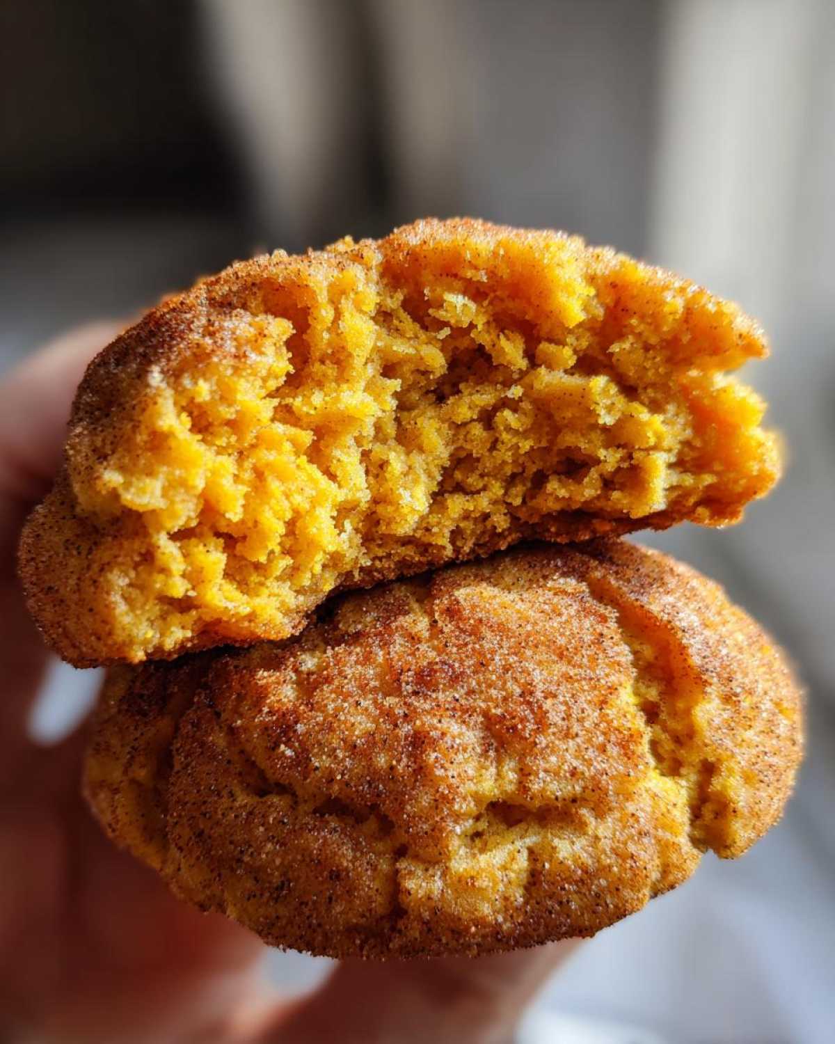 Pumpkin Snickerdoodle Cookies - detail 1