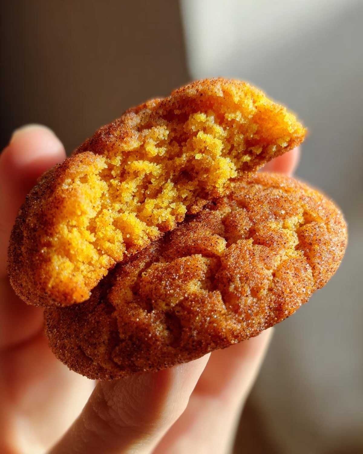 Pumpkin Snickerdoodle Cookies - detail 2