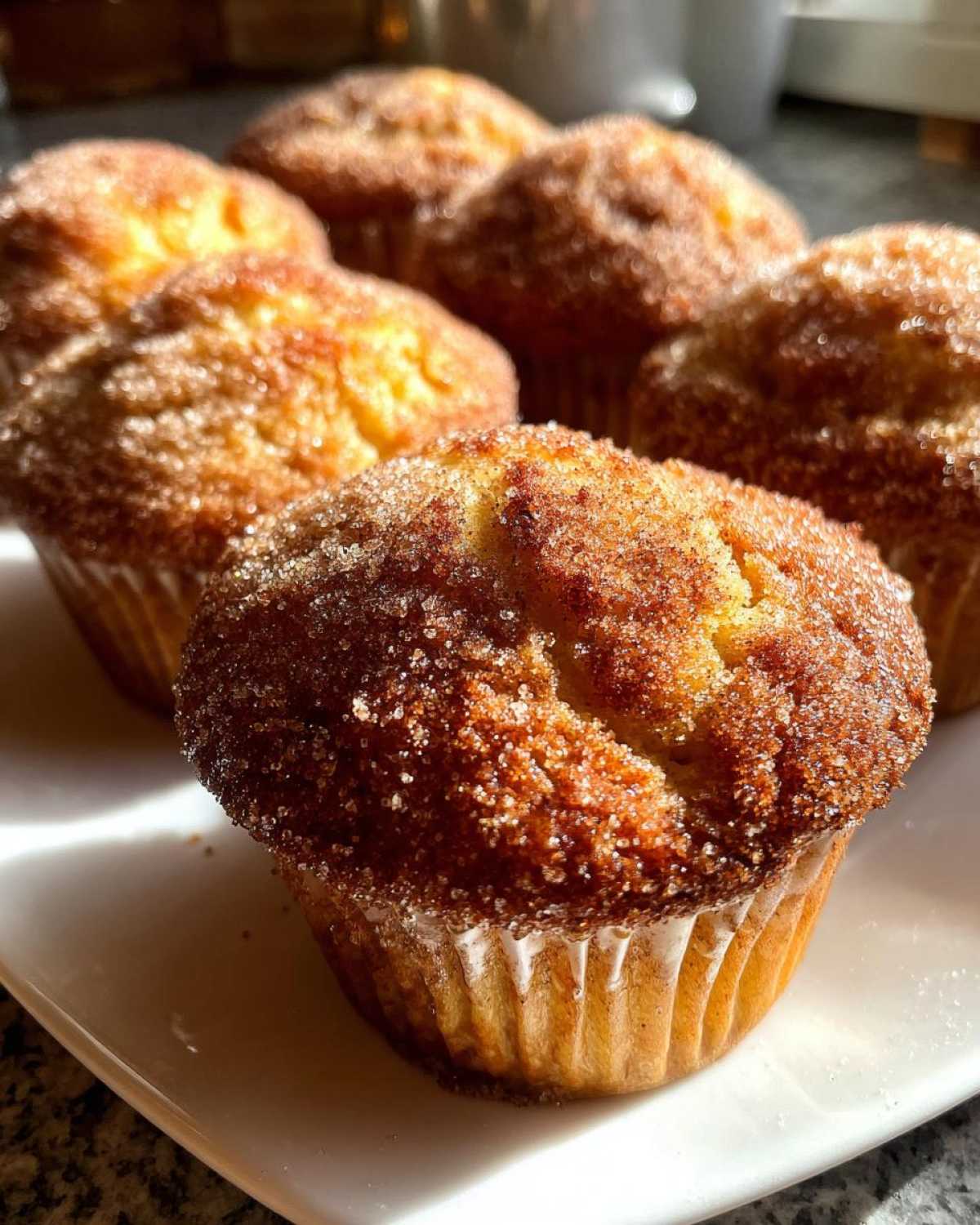 Apple Cider Donut Muffins (Baked Not Fried) - detail 4