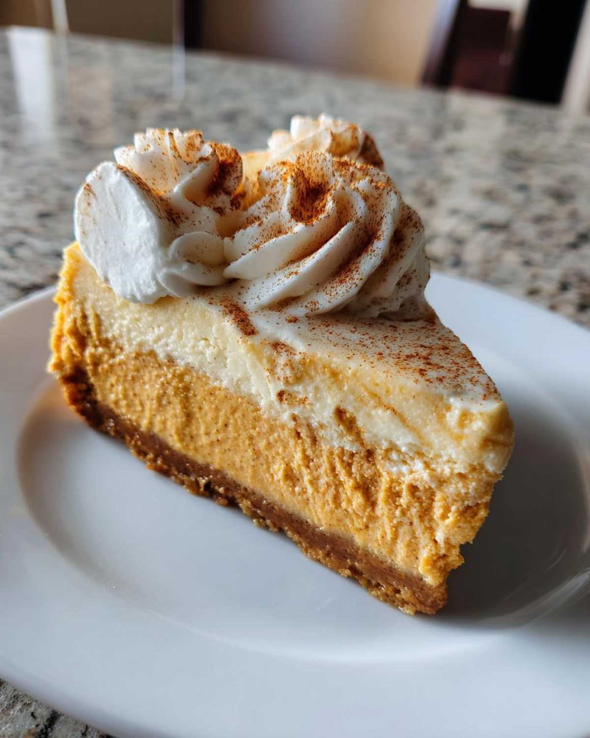 Instant Pot Pumpkin Spice Cheesecake (Fail-Proof Dessert) - detail 1