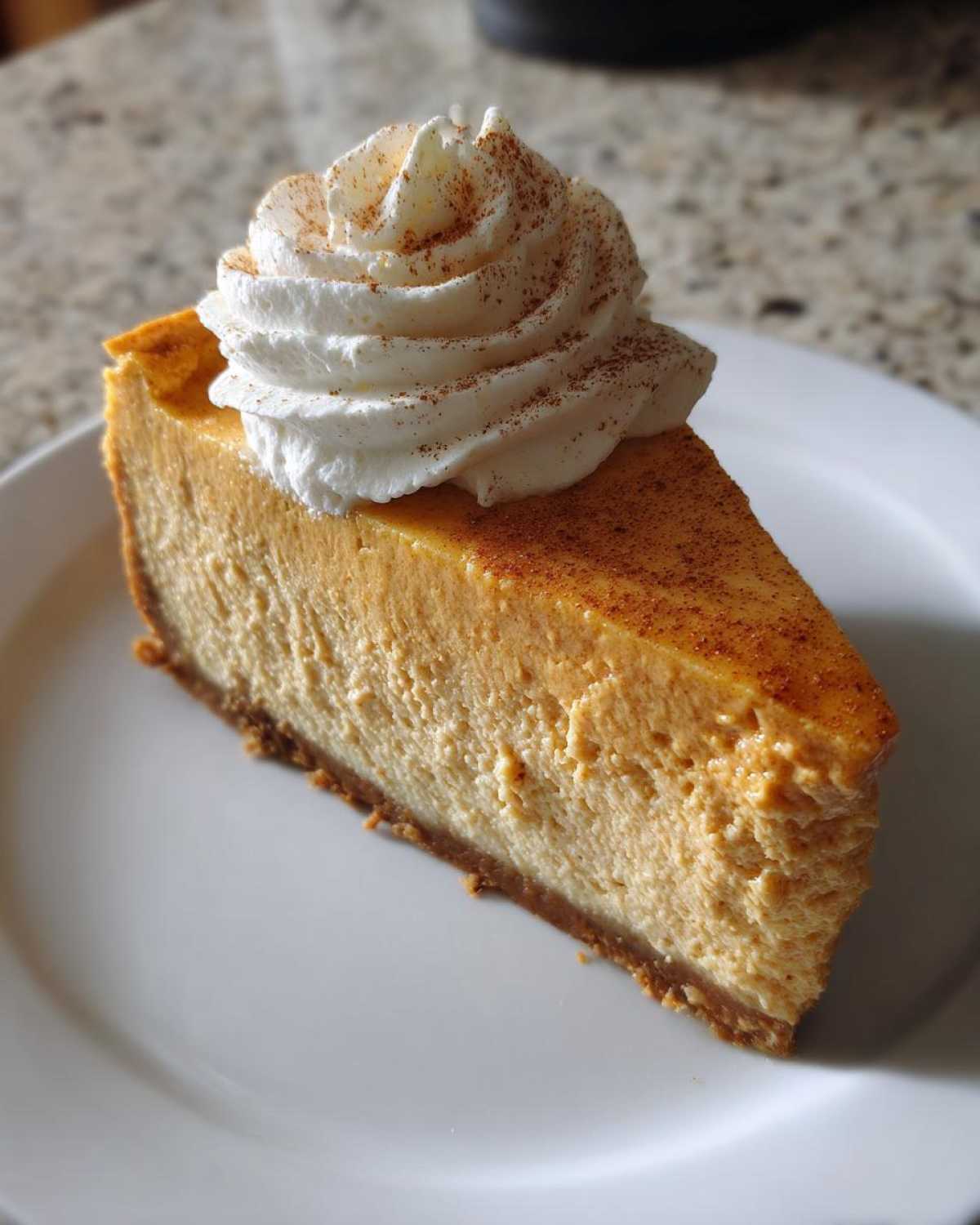 Instant Pot Pumpkin Spice Cheesecake (Fail-Proof Dessert) - detail 2