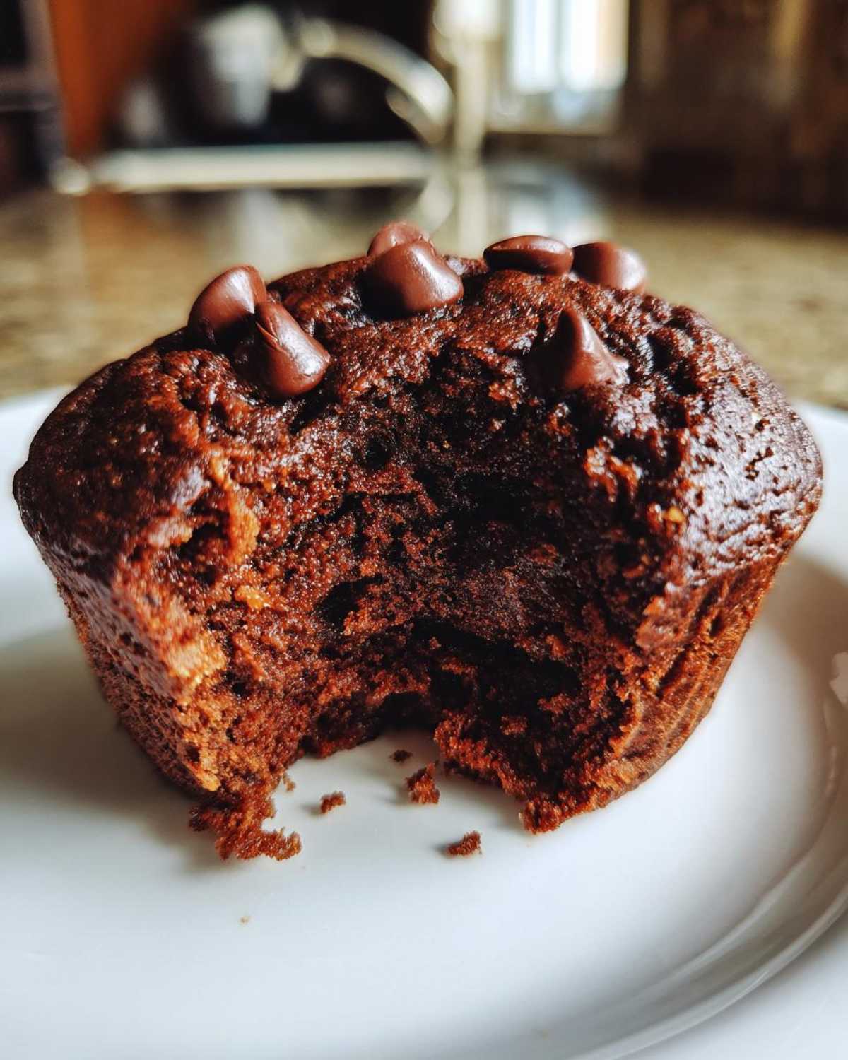 Chocolate protein muffins - detail 1