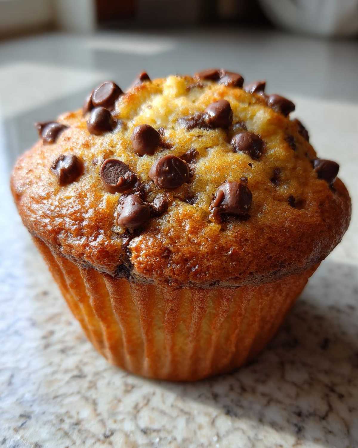 Classic chocolate chip muffins - detail 2