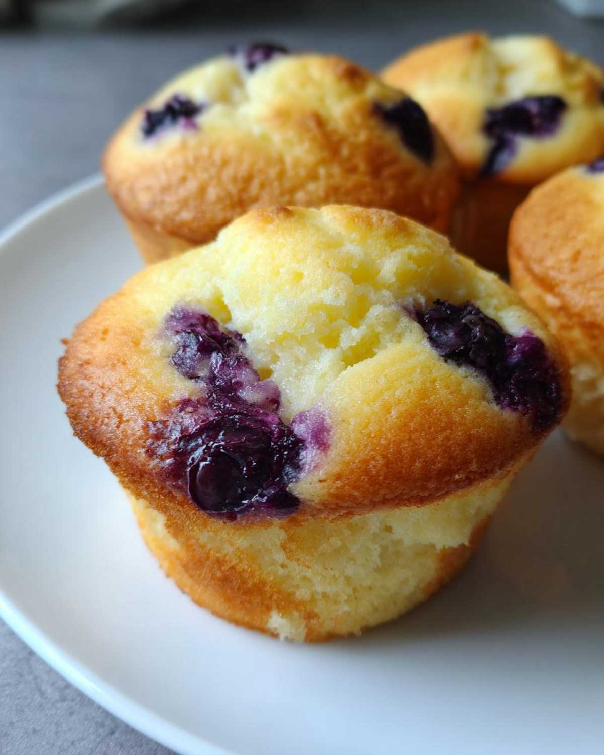 Close-up of a golden-brown blueberry cream cheese muffin featuring visible bursts of purple fruit on a white plate.