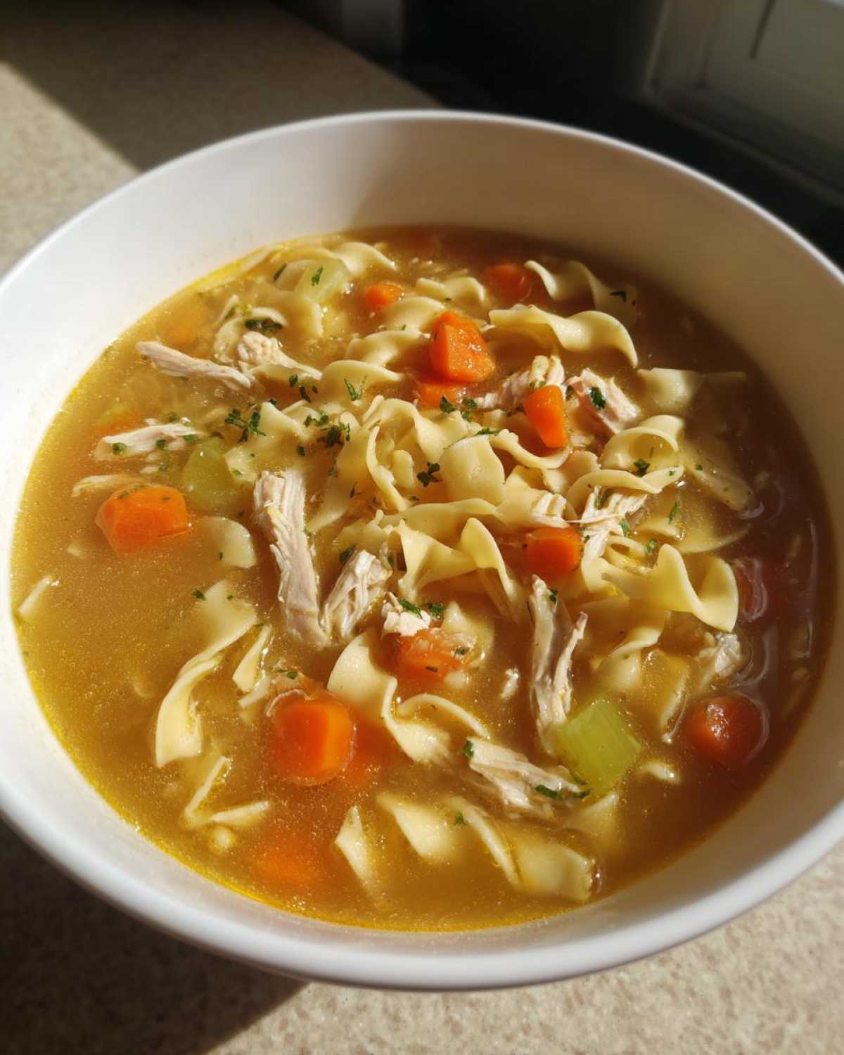 A close-up of a white bowl filled with rich broth, wide egg noodles, shredded turkey, and chunks of carrots in turkey noodle soup.