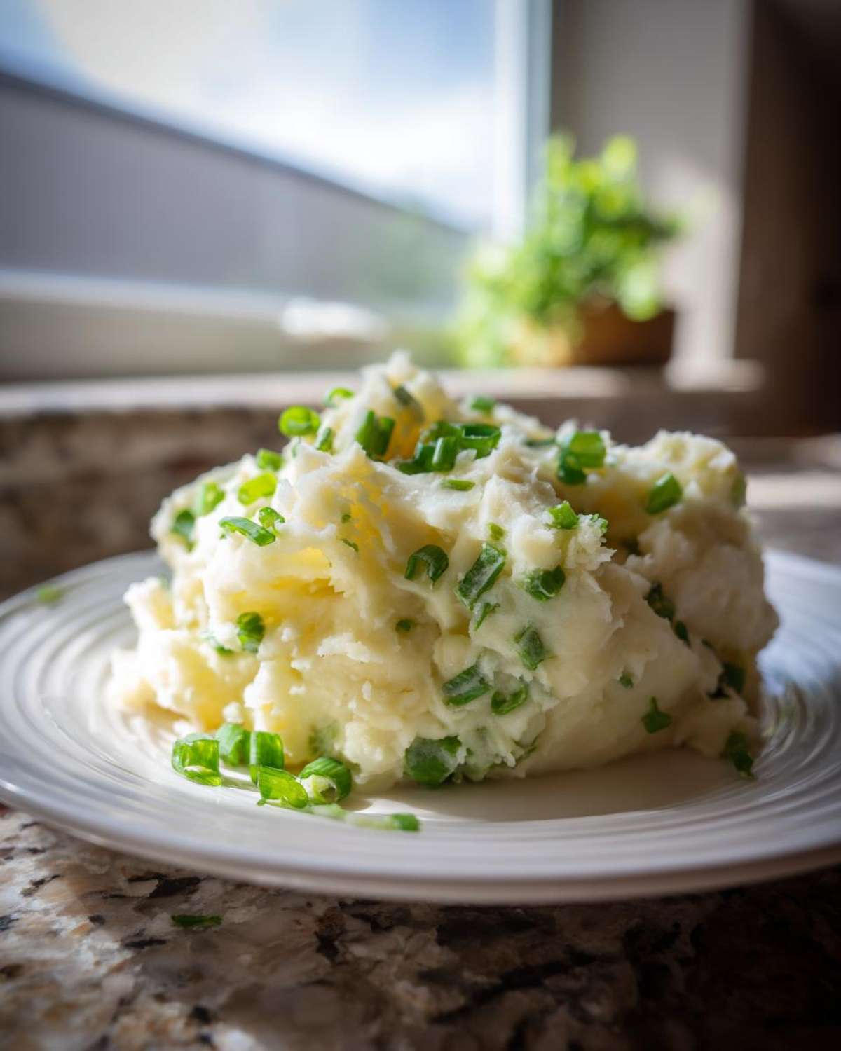 A mound of creamy Irish Champ Mashed Potatoes with Scallions served on a white plate near a window.