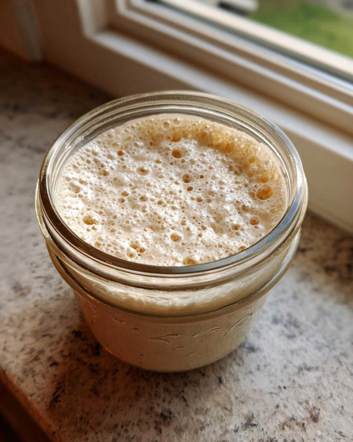 A close-up view of an active sourdough starter, showing a thick layer of bubbles on top, stored in a glass mason jar.