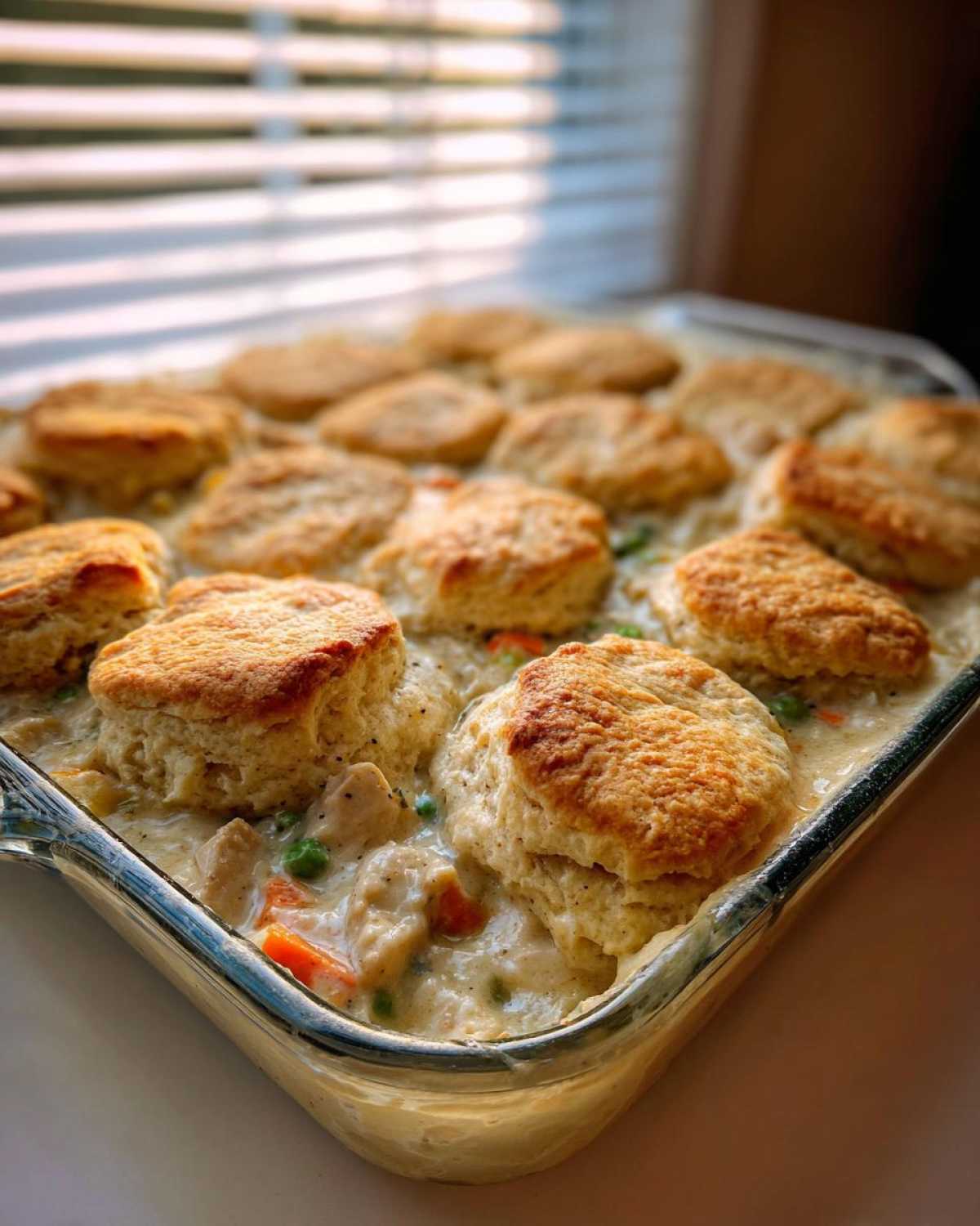 Close-up of a freshly baked chicken pot pie casserole topped with golden biscuits, bubbling in a creamy sauce.