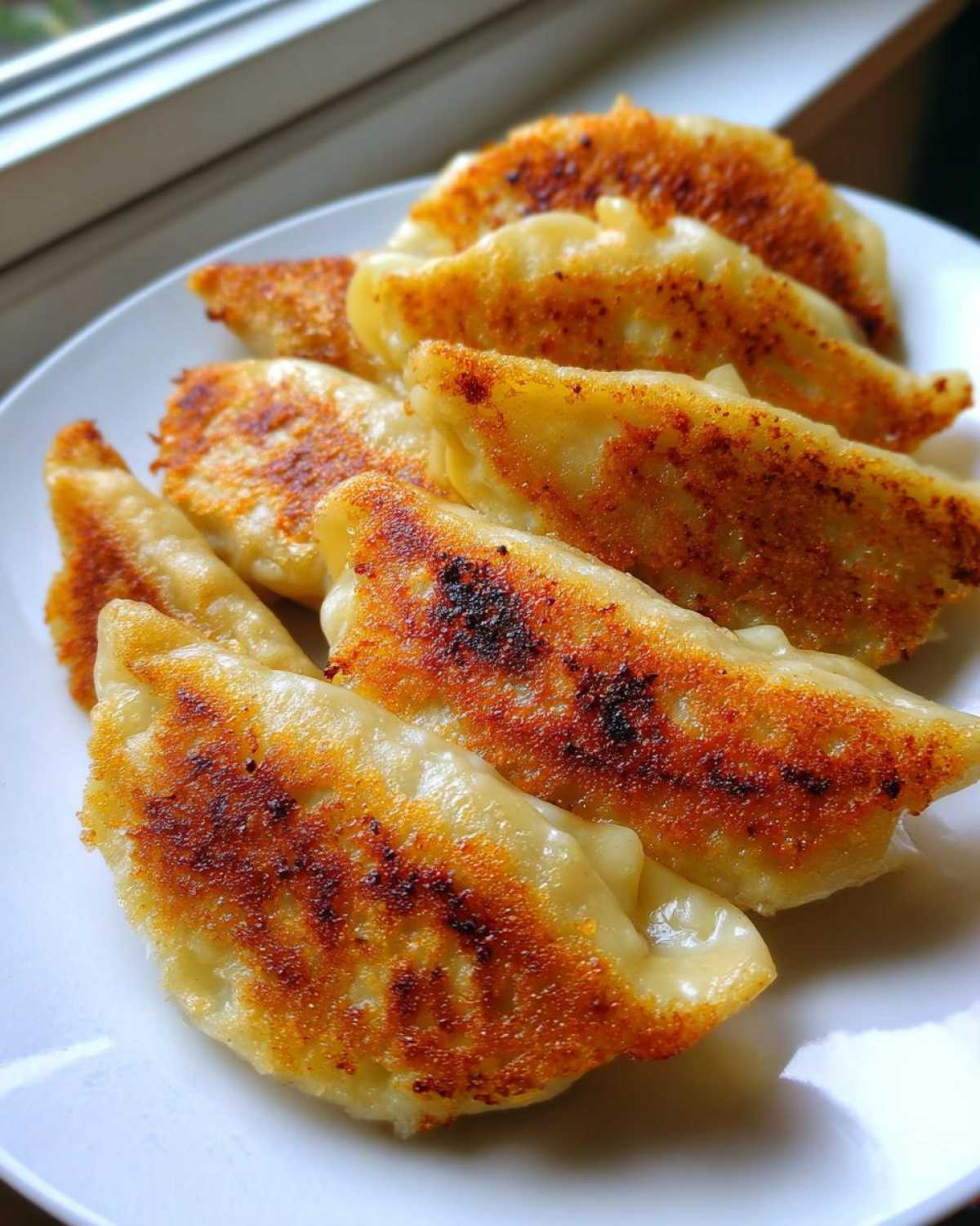 Close-up of several golden-brown Pan Fried Cabbage Dumplings arranged on a white plate near a window.